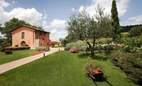 Tenuta Quadrifoglio - Salvia (4 + 2) - Image 5