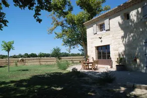 Chambres d'hôtes en Camargue - Image 2
