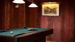 FOREST HILLS LODGE (19 pers) - Image 3