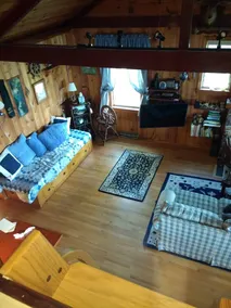 Waterfront Cabin with Million Dollar View and Luxury Bath!  Find Shark's Teeth! - Image 5