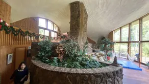 HOUSE Of THE FUTURE IN THE WOODS OF WEST LANSING - Image 4