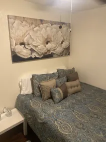 Small Cozy House - Image 4