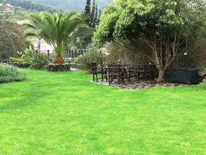 TYPICAL HOUSE CANARIA in stone and wooden ceilings Ideal for Families or Couples - Image 5