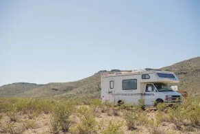 Country Camping, RV Park at Desert Gardens Oasis in Lobo, TX - Image 5