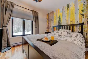 Le Grizzly - Ski Getaway - Spa - Pool Table - Image 2
