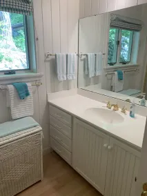 Charming Walloon Lake Cottage on the Water - Image 4