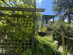Secluded Lodge at the top of the garden. Free Parking, Dog Friendly £20 per pet - Image 2