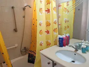 Sleeps 8-Cozy and Spacious Ground Floor, 2 apts connected. 4 bedrooms, 3 baths - Image 2