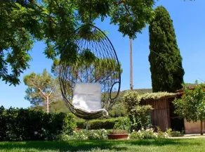 Agriturismo il vecchio imposto  - Image 3