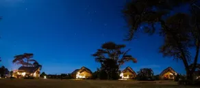 Ekorian's Mugie Camp - Image 3