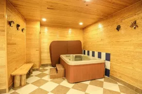 Luxury Home with Sauna, Hot Tubs, Game Room, Short Walk to Lake, Outdoor Pool - Image 3