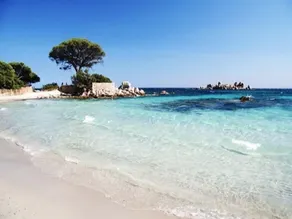 Lussuosa piscina riscaldata con architetto e villa climatizzata, vicino alle spiagge di Pinarello - Image 4