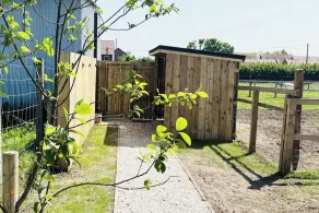 Solo Glamping Pod - Sleeps 4 - Northumberland - Image 5