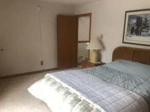 Golf Vacation Home at Adirondack's Brantingham Lake - Image 3
