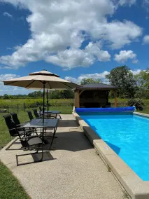 The Vine Bed & Breakfast, LLC - Image 3