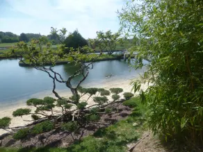 Meget smuk udhus i ejendom, ved havet og golf - Image 4