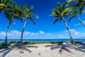 MANGO SURF OCEAN FRONT VILLA! - Image 4