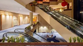 2 Connecting Suites at a  Hotel - Image 5