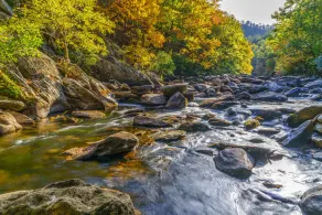 Dreams & Streams - Image 3
