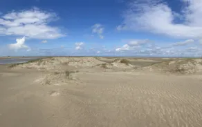 Chalet \"Woestijnbloem\" à Renesse pour 6 personnes - Image 4