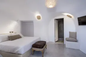 Aqua Dream Villa with Indoor Cave Plunge Pool - Image 3