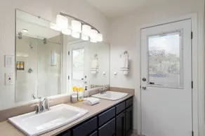 Sunlit 3 bedroom, enclosed dog friendly yard in quiet neighborhood - Image 4