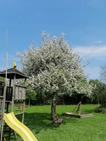 Cottage Le Merle Blanc 2 to 6 persons - Image 2