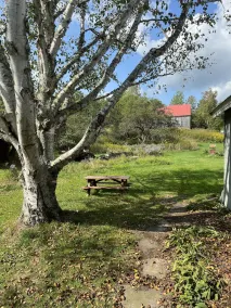 Newly Renovated Country Farmhouse. Great room, Large kitchen, Bright 3 bd/2.5 ba - Image 5