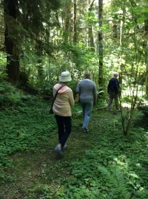 Private,Quiet,cabin,on 27 acres,w/ trails. near the Hoh Rain Forest Nat' l Park. - Image 2