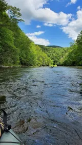 Riverside Retreat - Image 5