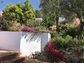 Casa Biontica - Image 3