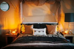 The Tree Dome - Retraite luxueuse de glamping - Image 4