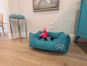Opvarmet poolhus i Pinecraft-området tæt på centrum og strande. - Image 2