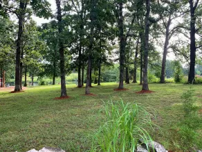 Leasburg Lakehouse vacation home & private stocked lake near Meramec River. - Image 5