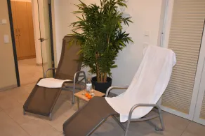 Kleine Robbe - Image 5