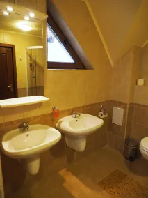 Large mountain holiday villa with magnificent views, Brasov - Image 5