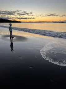 Fantastic Beach & Ocean Views - Image 3