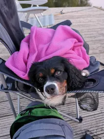 Férias com criança e cão em Gartow am See - Image 4