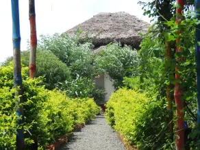 CHOTTONEER HOMESTAY. - Image 3