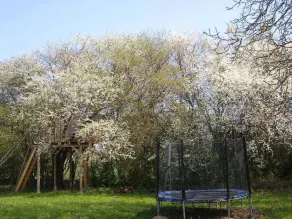 Ferielejlighed med gulvvarme, pejs og terrasse - Image 3