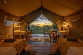 Mara Major Camp - Image 2