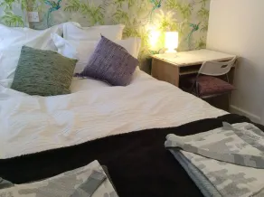 Charming garden flat in central London - Image 5