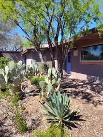 Serene and Charming, Private, Immaculate, Central,  2/1.5 Back yard and Pool - Image 3