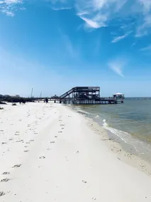 Private Beach &  Dock for Fishing!  Bring Dogs!  Still open for Thanksgiving! - Image 4