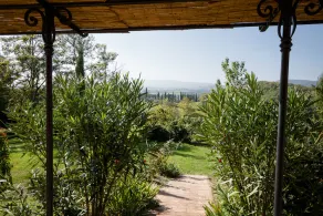 Fattoria Sant'Andrea - Farm Stay - Image 5