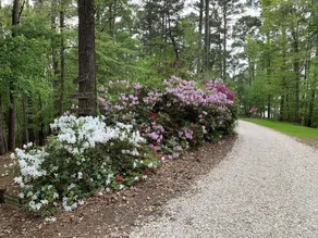 Eagles Point! Incredible Private Waterfront 3.5 acres. Long range water views! - Image 4