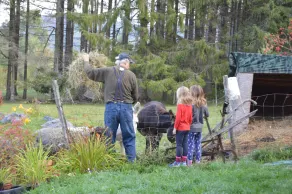 Mount Harmony Farm Vacation Guest House - Image 3