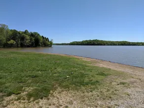 Welcome to Pearl Haven - a 500 sf gem! Hosting both Long and Short-term rentals! - Image 5