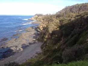 A lovely cosy cottage with a delightful double deck to enjoy the views - Image 3