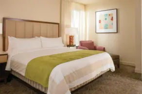 Marriott's Shadow Ridge II (1 Bedroom) - Image 5